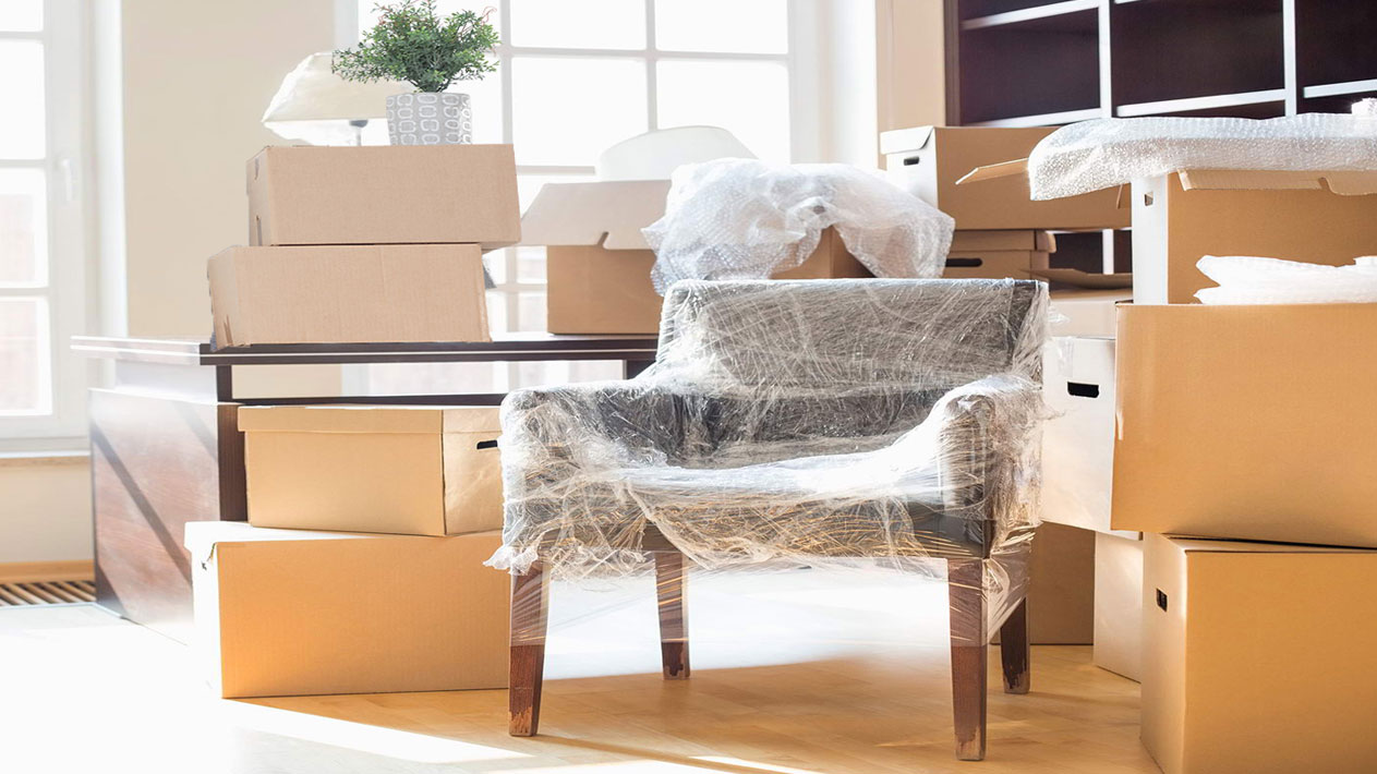 Surya Cargo Packers & Movers