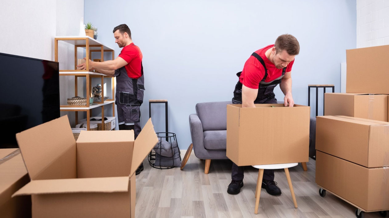 Surya Cargo Packers & Movers