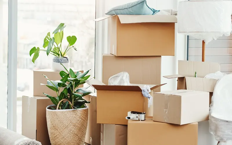 Household Shifting Services In Bardoli