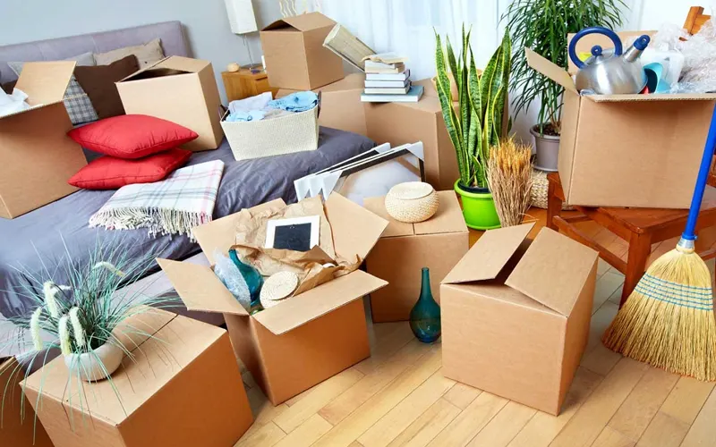 Household Shifting Services In Botad