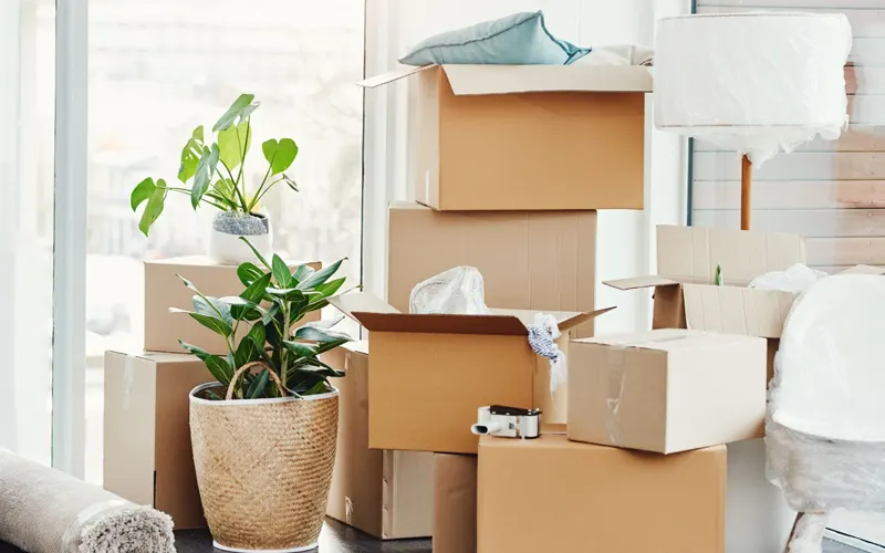 Household Shifting Services In Diu