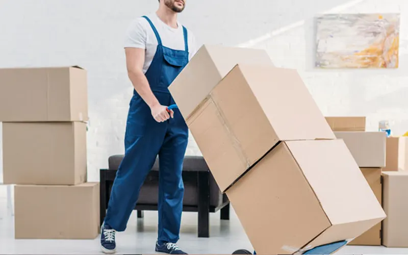 Household Shifting Services In Halvad