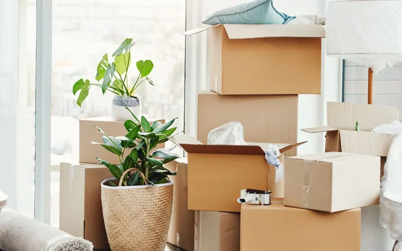Household Shifting Services In Mandvi